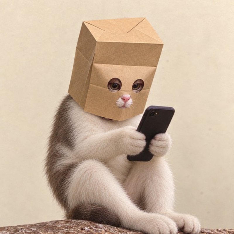 zcatfone
