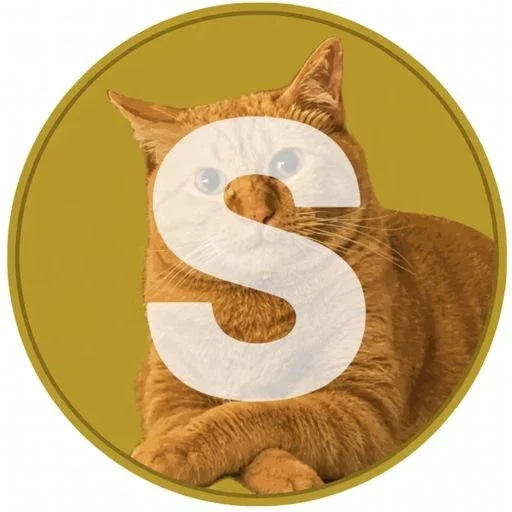 Solyacoin logo