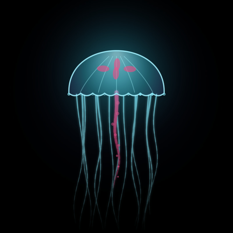 Jelly Net logo