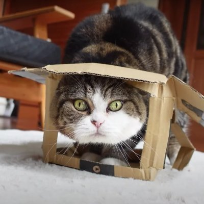 MARU