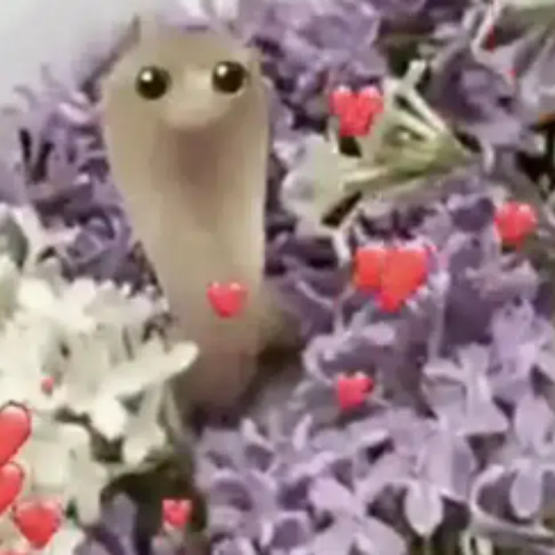 SNEK