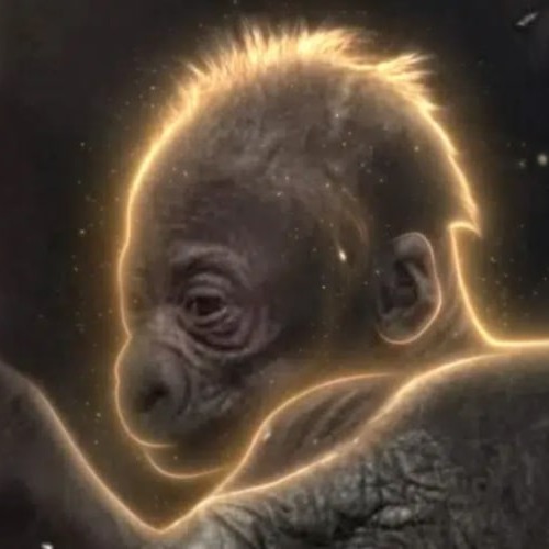 Usala