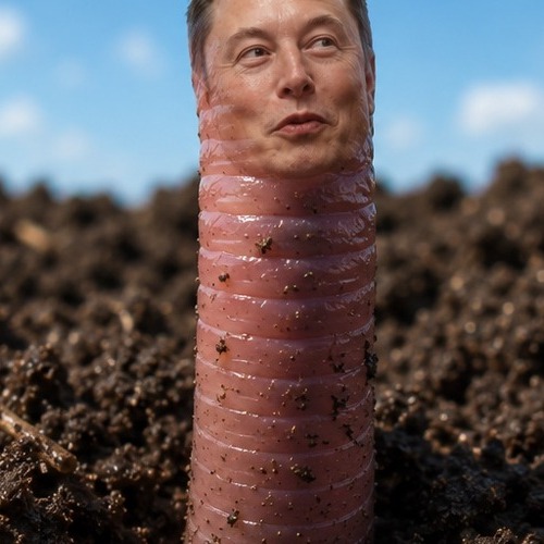 WORM