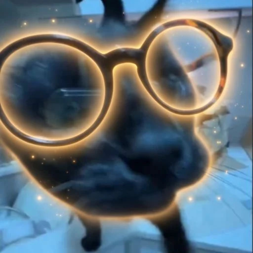 nerdcat