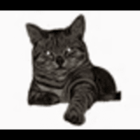 MyCat logo