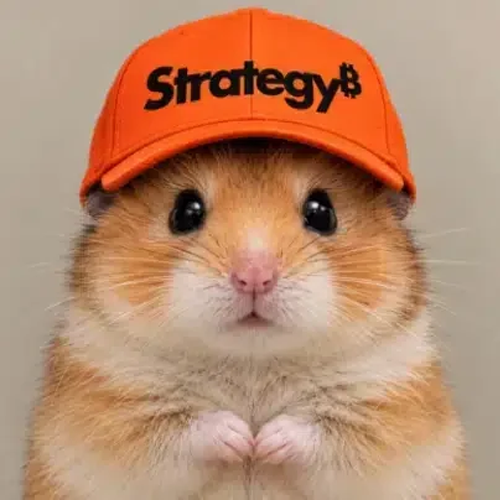 haMSTR