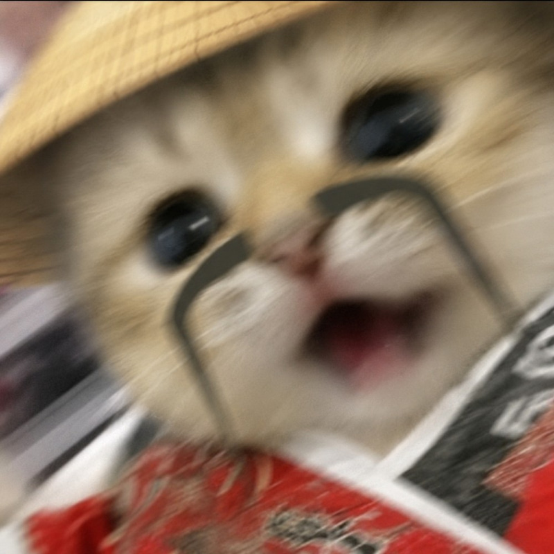 memchoin