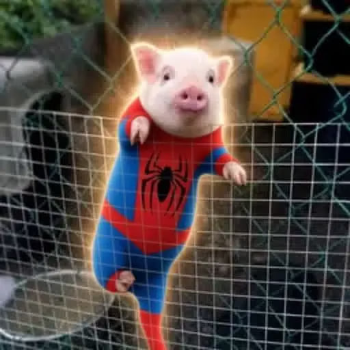 Spiderpig