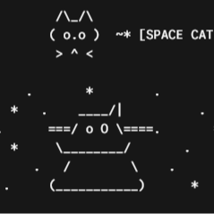 /spacecat