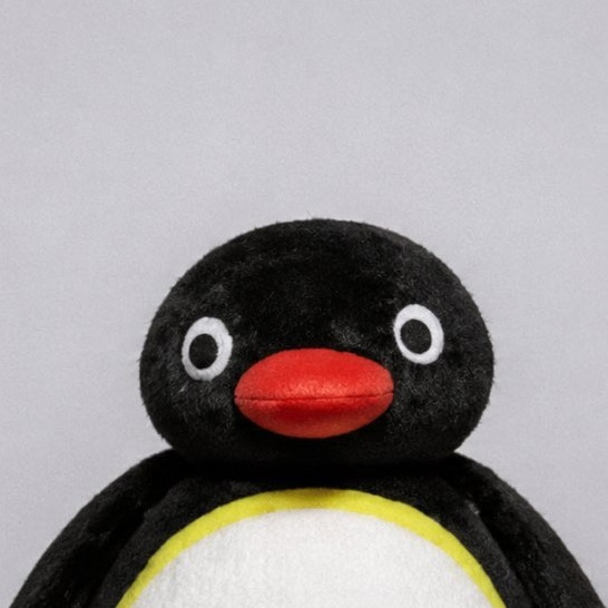Pingu logo