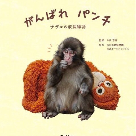 PUNCHBOOK
