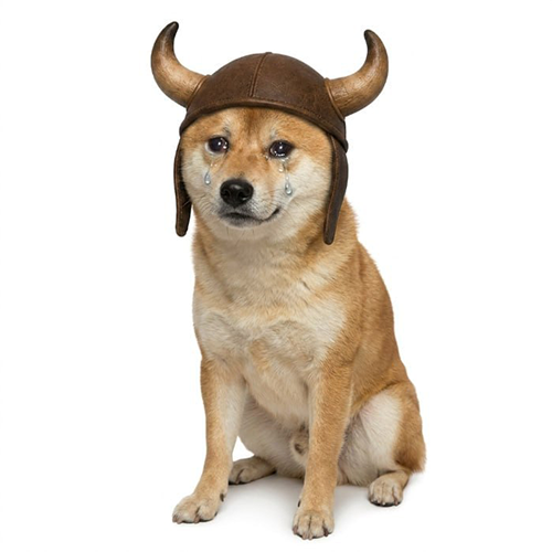 BULLDOGE