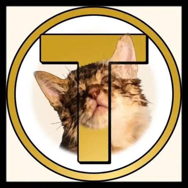 Tsucoin logo