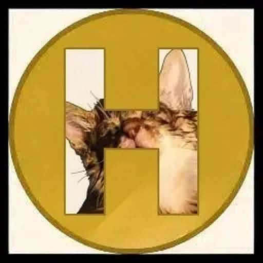 HOKI