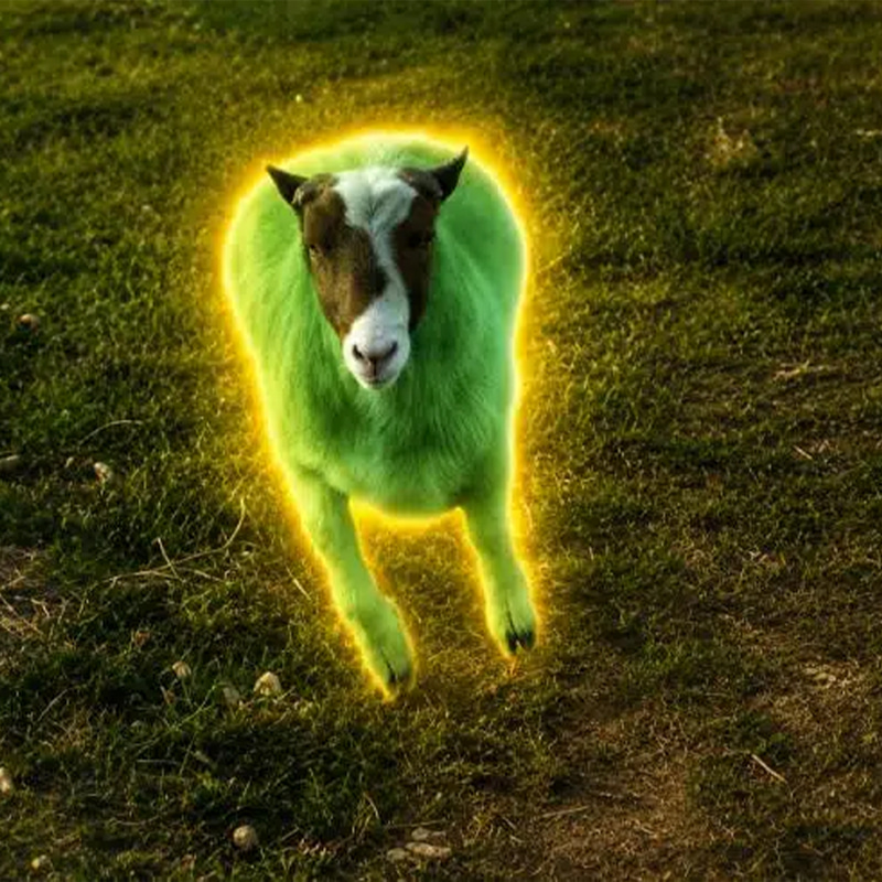 The PumpFun Sheep logo