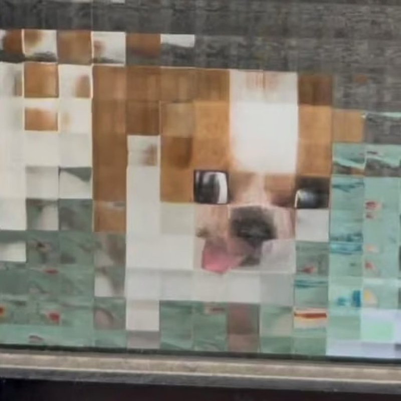pixeldog