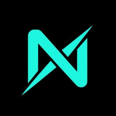 NetronX Games logo