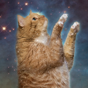 Fat Cat Art logo