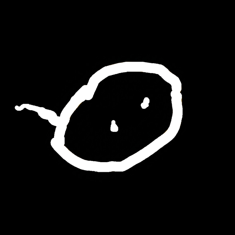 lil