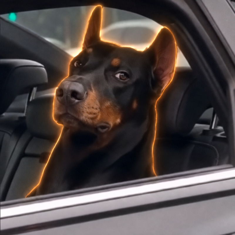 Mafiadog