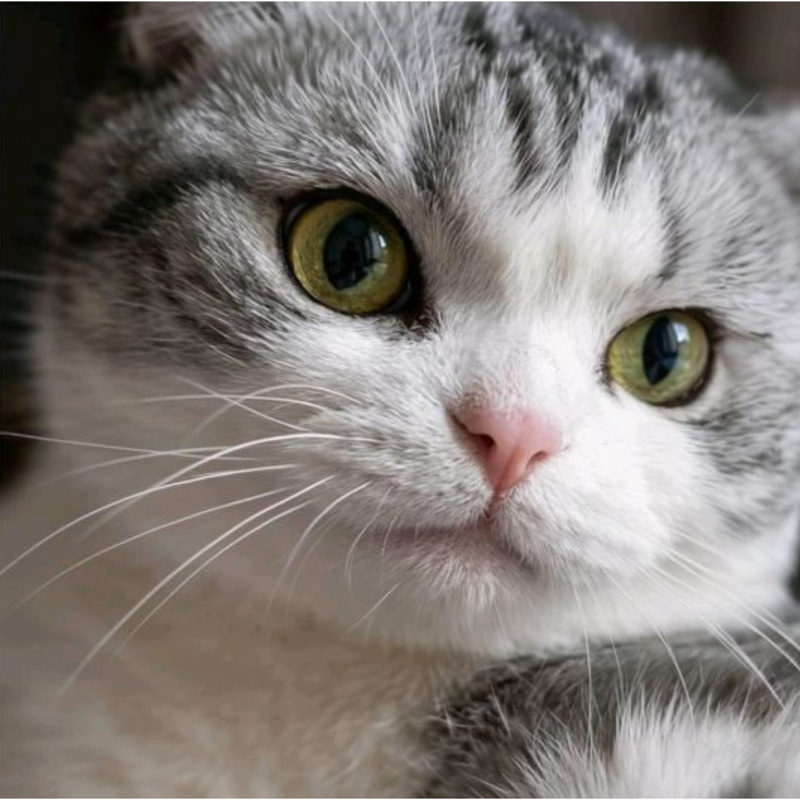 MIKO