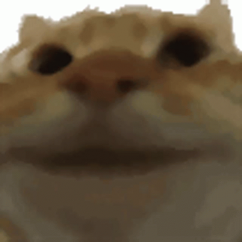 Yepcat logo