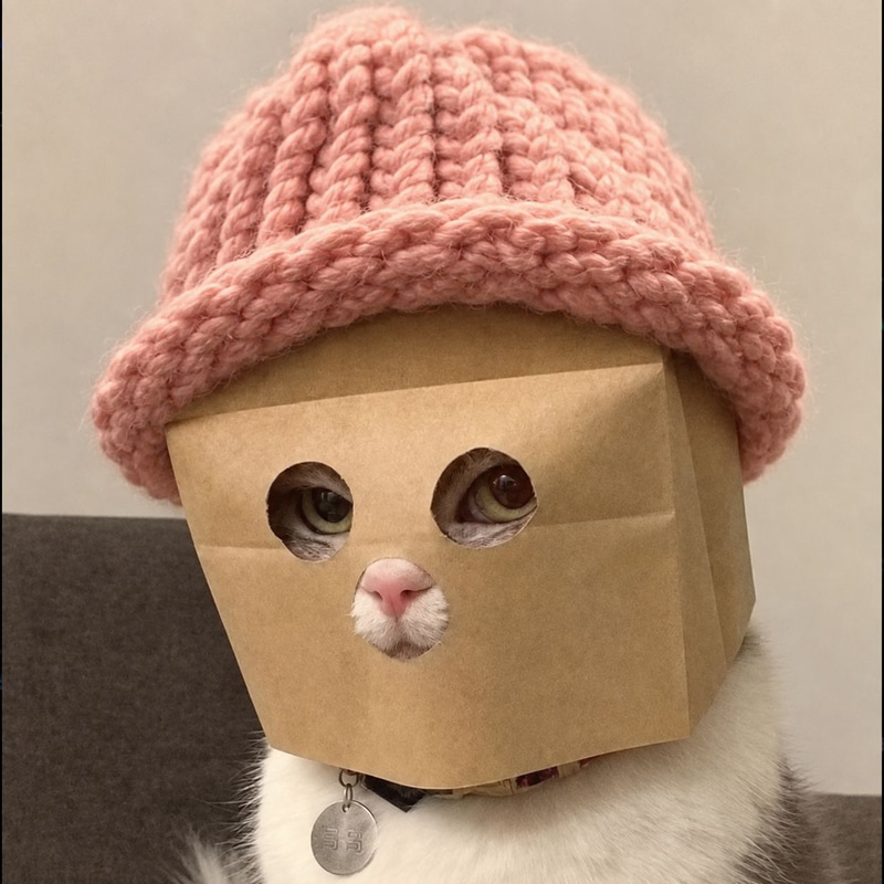 ZWIF