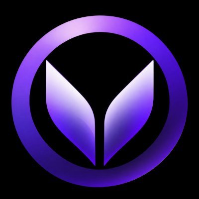 VeilPay