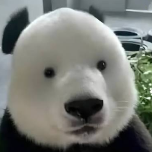 BIAO