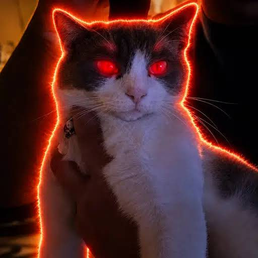 TSUKI