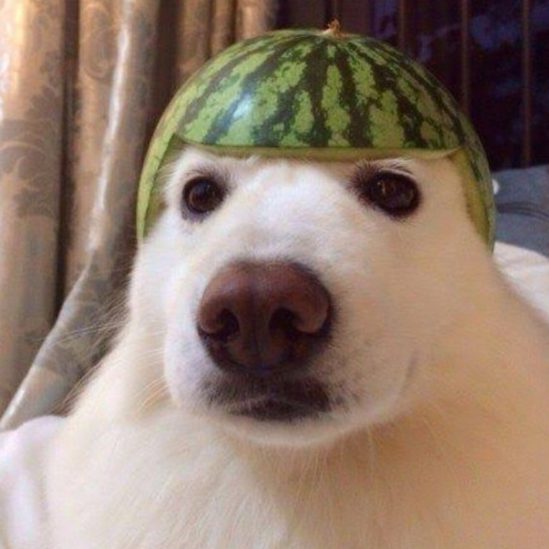moonmelon