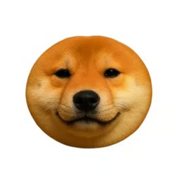 Coinu