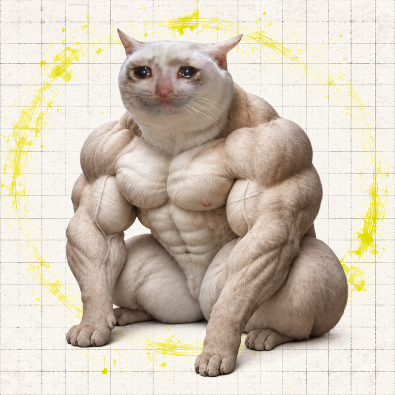 ROID CAT