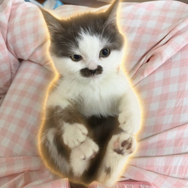 KITLER