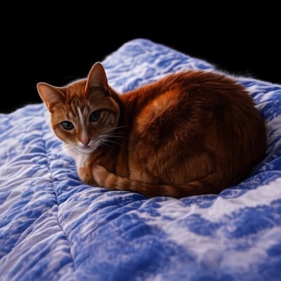 HOBBES