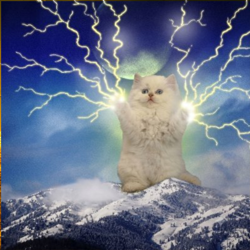 Laser Cat logo