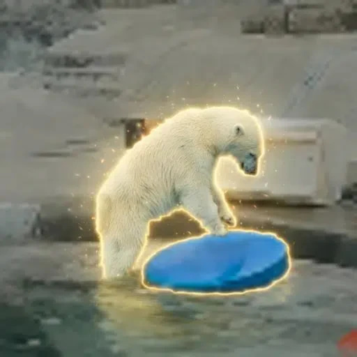 Bear On Board logo