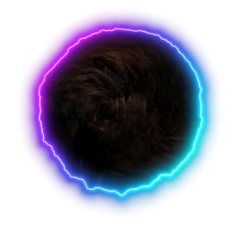 c◎t