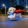 Super Dog logo