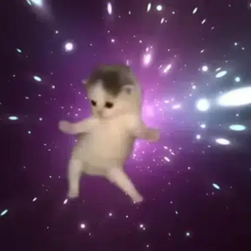 Dancing Space Cat logo