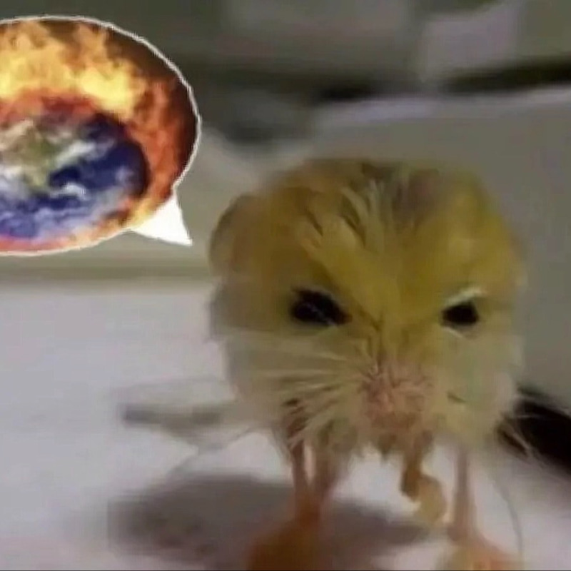 Jerboa