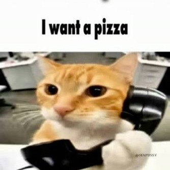 catcall 
