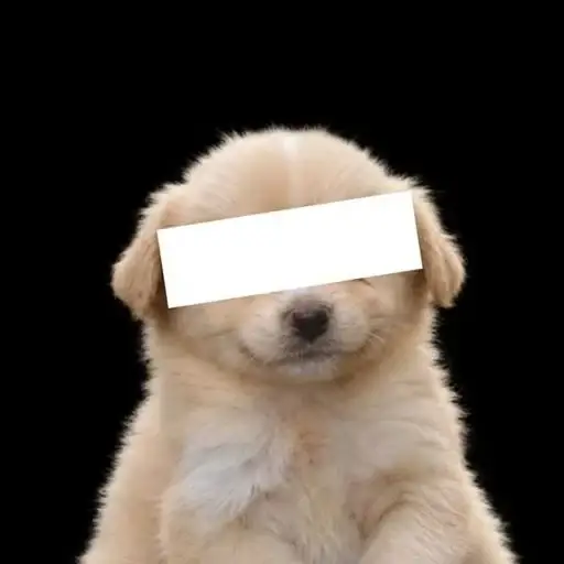 ████