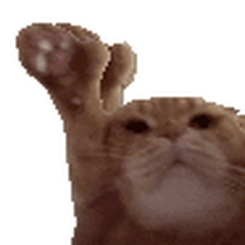 Yaycat logo