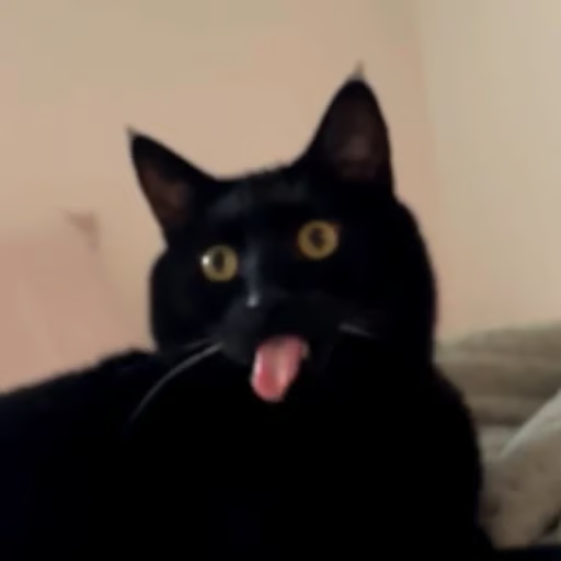 blep