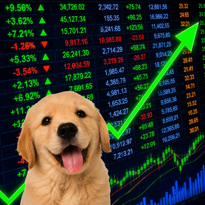 Dogstock