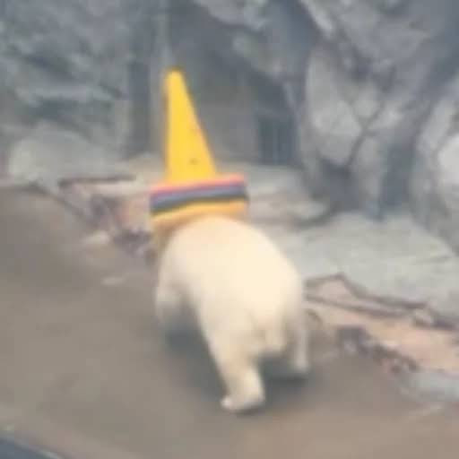 モモタ