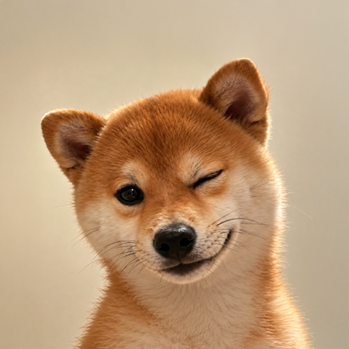 DOGCHA