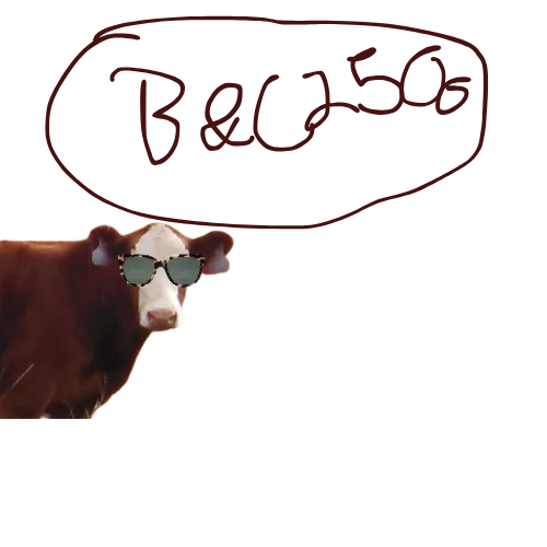 B&C2500