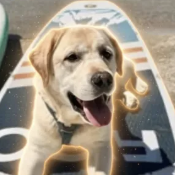 Koda